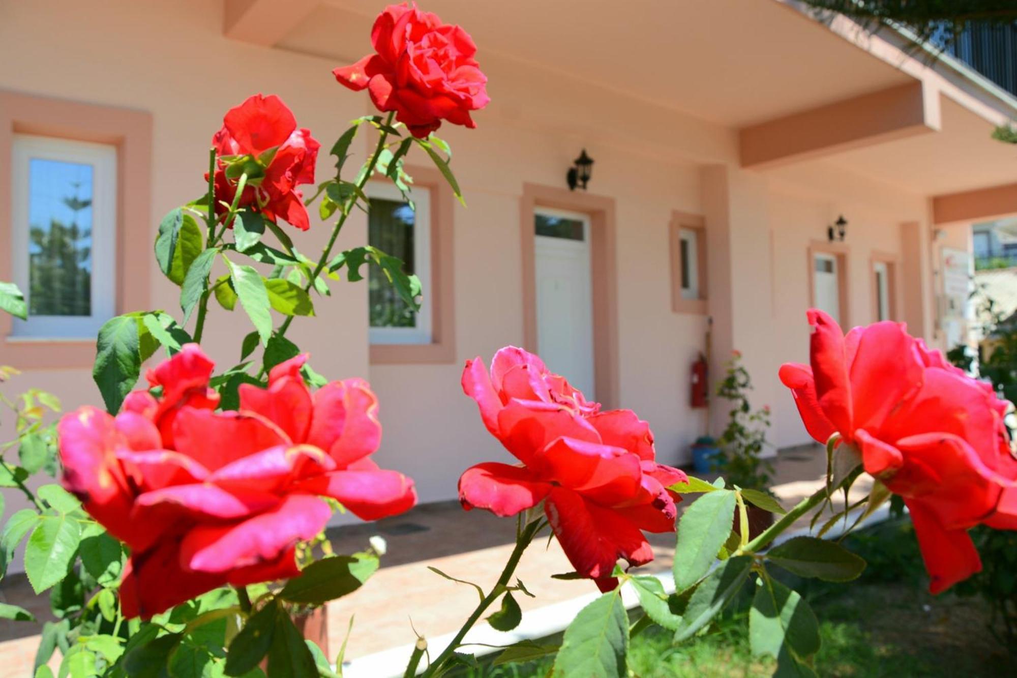 Red Rose Garden Apartment Tsilivi  Bagian luar foto