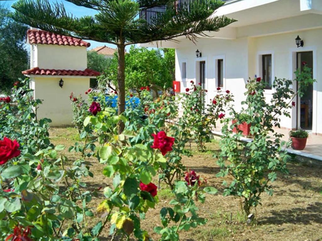 Red Rose Garden Apartment Tsilivi  Bagian luar foto