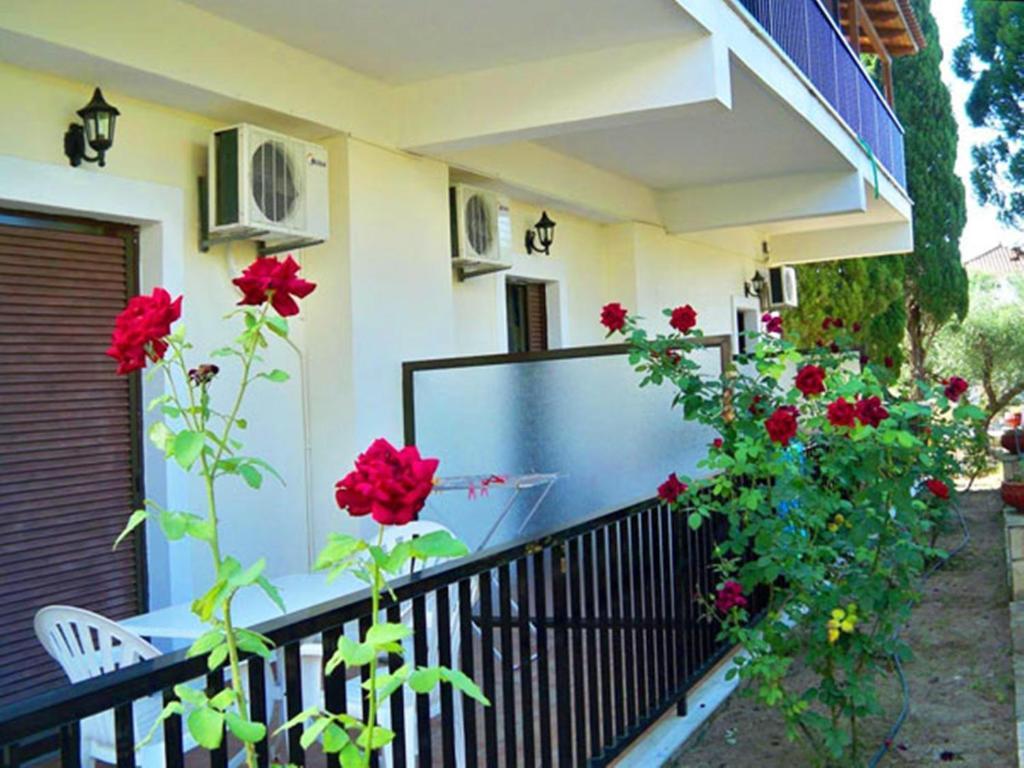Red Rose Garden Apartment Tsilivi  Bagian luar foto